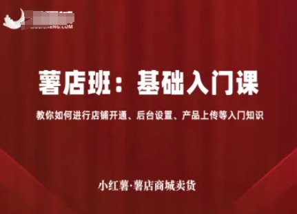 小红薯薯店商城卖货，基础入门课，教你如何进行店铺开通、后台设置、产品上传等入门知识-赚金金-技能学习分享