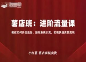 小红薯薯店商城卖货,进阶流量课,教你如何开店选品、如何系统引流,实现快速卖货变现-赚金金-技能学习分享