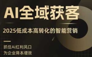AI全域获客实训营，2025低成本高转化的智能营销，精准找客，高效营销-赚金金-技能学习分享