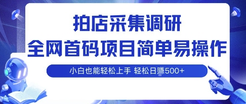 拍店采集调研，全网首码项目，简单易操作， 小白也能轻松上手，多账号操作，轻松日入5张【揭秘】-赚金金-技能学习分享