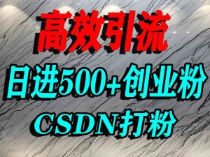 怎么打创业粉?CSDN又一个你不知道的打粉引流神秘平台,单人日引500+精准流量-赚金金-技能学习分享