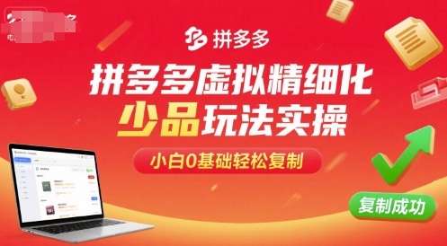 拼多多虚拟精细化少品玩法实操，小白0基础轻松复制-赚金金-技能学习分享