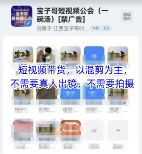 宝子哥头部团队短视频带货,以混剪为主,不需要真人出镜,不需要拍摄【更新8月】-赚金金-技能学习分享