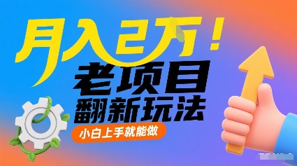 月入2W！老项目翻新玩法，小白上手就能做，非常容易上手-赚金金-技能学习分享