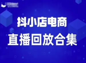 短视频电商:抖小店变现从0到盈利过直播回放-赚金金-技能学习分享