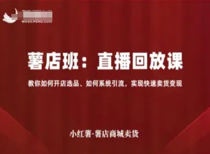 小红薯薯店商城卖货直播回放课，教你如何开店选品、如何系统引流，实现快速卖货变现-赚金金-技能学习分享