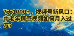 7天收益1k+,视频号新风口:中老年情感视频如何月入过W?-赚金金-技能学习分享