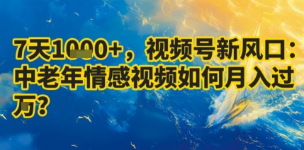 7天收益1k+，视频号新风口：中老年情感视频如何月入过W?-赚金金-技能学习分享