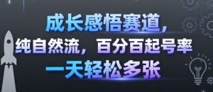 成长感悟赛道，纯自然流，百分百起号率 一天轻松多张-赚金金-技能学习分享
