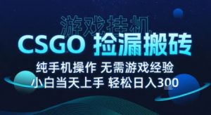 8月最新游戏搬砖,CSGO纯挂G,不需要玩游戏,实现真挂G,月入1W+【揭秘】-赚金金-技能学习分享