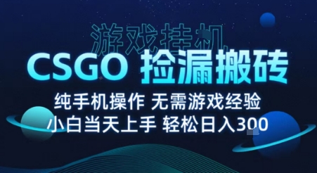 8月最新游戏搬砖，CSGO纯挂G，不需要玩游戏，实现真挂G，月入1W+【揭秘】-赚金金-技能学习分享