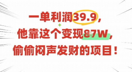 一单利润39.9，有人靠这个变现几十个，偷偷闷声发财的项目-赚金金-技能学习分享