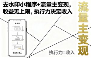 去水印小程序+流量主变现,收益无上限,执行力决定收入-赚金金-技能学习分享