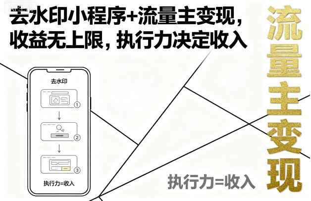 去水印小程序+流量主变现，收益无上限，执行力决定收入-赚金金-技能学习分享