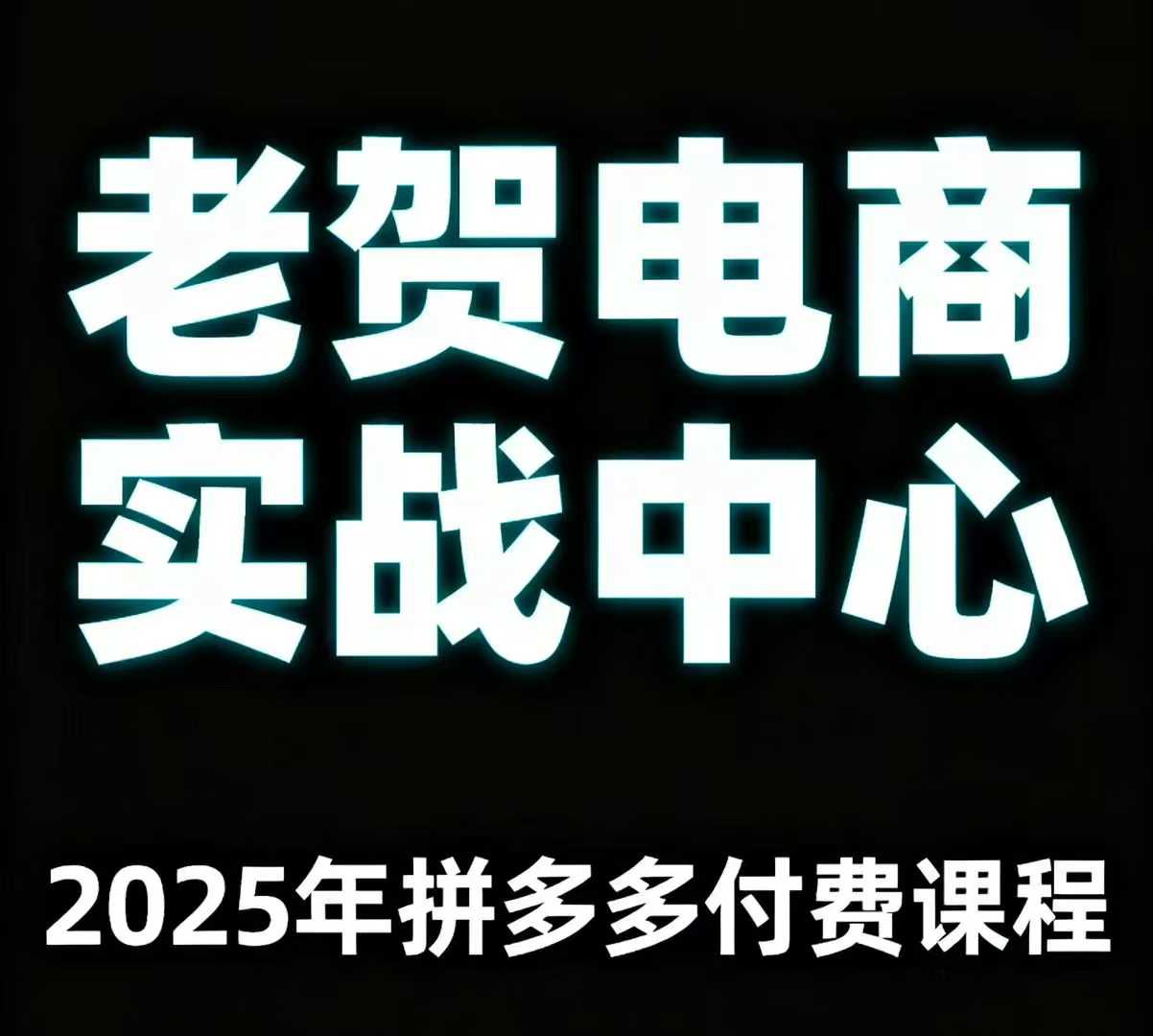 老贺电商2025年拼多多付费课程，用通俗易懂的方法告诉你多多怎么玩-赚金金-技能学习分享