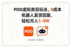 PDD虚拟类目玩法,0成本,机器人发货回复,轻松月入1-3W-赚金金-技能学习分享