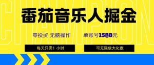 番茄音乐人掘金,单账号最高可撸1k+,可无限矩阵去做,零投入-赚金金-技能学习分享
