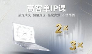 高客单IP课,搞定成交,搞定高客单IP,翻倍变现,轻松卖爆,不销而销-赚金金-技能学习分享