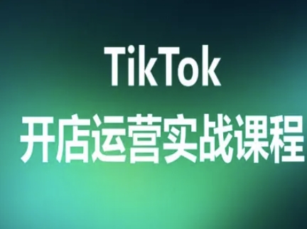 TikTok开店运营实战课程，TK跨境电商实操全流程-赚金金-技能学习分享