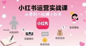 小红书运营实战课，从零到一玩賺小红书-赚金金-技能学习分享