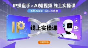 IP操盘手线上实操课,AI短视频线上课-赚金金-技能学习分享