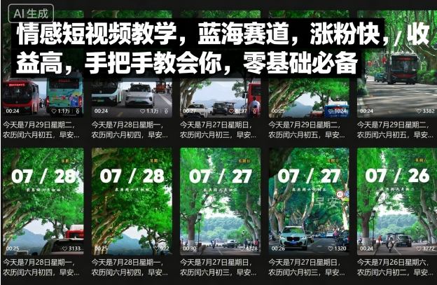 情感短视频教学，蓝海赛道，涨粉快，收益高，手把手教会你，零基础必备-赚金金-技能学习分享