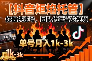 【抖音炬焰托管】你提供账号,团队代运营发视频,单号月入1k+【揭秘】-赚金金-技能学习分享