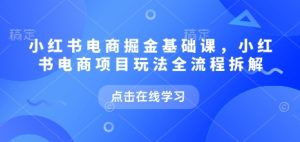 小红书电商掘金课,小红书电商项目玩法全流程拆解(更新9月)-赚金金-技能学习分享