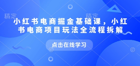 小红书电商掘金课，小红书电商项目玩法全流程拆解（更新9月）-赚金金-技能学习分享