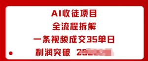 AI收徒项目全流程拆解一条视频成交35单日利润突破1k+-赚金金-技能学习分享