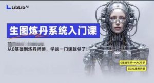 LibLibAI哩布哩布生图炼丹系统入门课,从生图到炼丹,只学这一门就够了-赚金金-技能学习分享