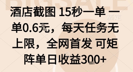 酒店截图15秒一单，一单0.6米，每天任务无上限，全网首发可矩阵单日收益3张【揭秘】-赚金金-技能学习分享