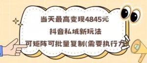 当天最高变现1k+,抖音私域新玩法,可矩阵可批量复制-赚金金-技能学习分享