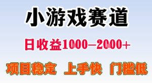 最新小游戏赛道,日收益1k-2k+,项目稳定上手快门槛低,在家就可以自己创业【揭秘】-赚金金-技能学习分享