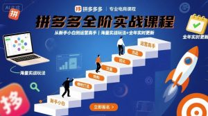 拼多多全阶实战课程,从新手小白到运营高手,海量实战玩法+全年实时更新【2025年9月更新】-赚金金-技能学习分享