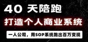 40天陪跑打造个人商业系统,一人公司,用SOP系统跑出百W变现-赚金金-技能学习分享
