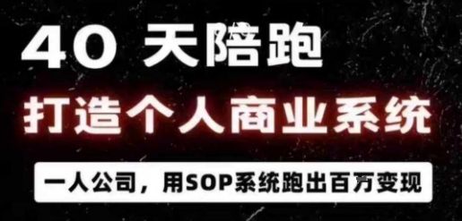40天陪跑打造个人商业系统，一人公司，用SOP系统跑出百W变现-赚金金-技能学习分享