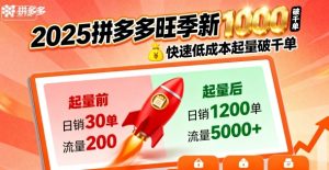 2025拼多多旺季新老店铺——快速低成本起量破千单-赚金金-技能学习分享