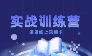 多多实战训练营,从0到1打造一个真正賺钱的店铺-赚金金-技能学习分享