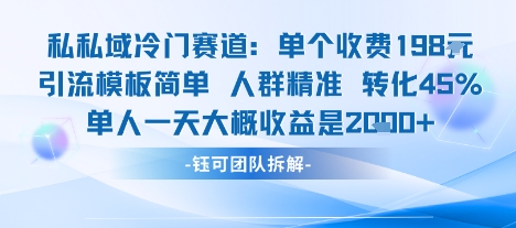 私域冷门赛道单个收费198米引流模板简单人群精准 45%的转化率单人一天大概收益多张-赚金金-技能学习分享