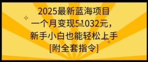 2025最新蓝海项目一个月变现1w+新手小白也能轻松上手【附全套指令】-赚金金-技能学习分享