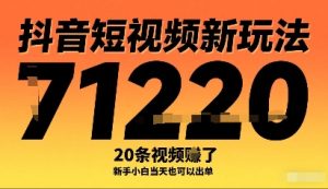 抖音短视频新玩法,20条视频挣了1w+,新手小白当天也可以出单-赚金金-技能学习分享
