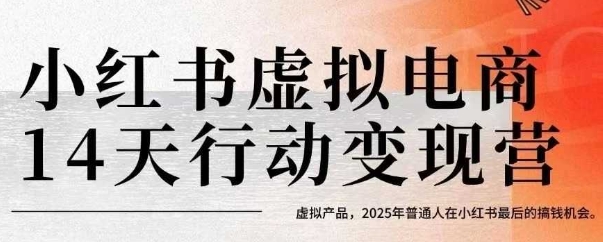 小红书虚拟电商14天变现训练营，虚拟产品，2025年普通人在小红书最后的搞钱机会（更新）-赚金金-技能学习分享
