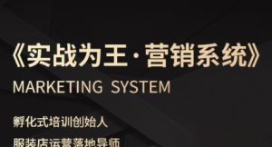 服装老板必修课《实战为王-营销系统》实现业绩被动式增长-赚金金-技能学习分享