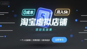 淘宝虚拟店铺项目实战课，一个人也能做，无需货源、0成本起步，月入5k-赚金金-技能学习分享