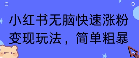 小红书无脑快速涨粉变现玩法，简单粗暴-赚金金-技能学习分享