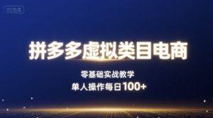 拼多多虚拟类目电商,零基础实战教学,单人操作每日100+-赚金金-技能学习分享