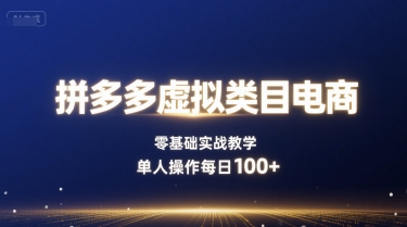拼多多虚拟类目电商，零基础实战教学，单人操作每日100+-赚金金-技能学习分享