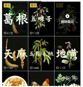 抖音中草药赛道，用AI做中草药故事视频，45条作品涨粉13W，橱窗带货猛猛出单-赚金金-技能学习分享
