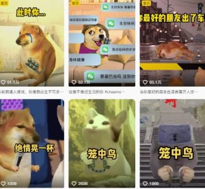 狗头幸运星UE5动画全套课程,从入门到实操全掌握-赚金金-技能学习分享
